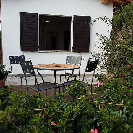 Agriturismomillefiori Manciano Exterior foto